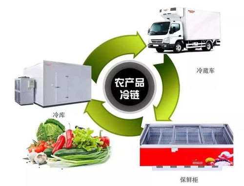 電商助農(nóng)正發(fā)展 配套設(shè)施與科技項目代理服務(wù)助力鄉(xiāng)村振興