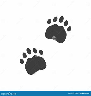 游戲代理加盟與科技項(xiàng)目服務(wù) 優(yōu)質(zhì)選擇與成功策略